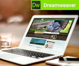 Adobe Dreamweaver Training